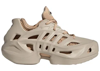 Pre-owned Adidas Originals Adifom Climacool Sneakers In Wonder Beige/magic Beige In Brown