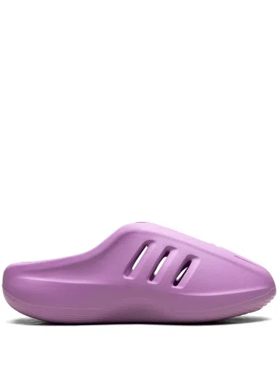 Adidas Originals Adifom Iiinfinity Mules In 粉色