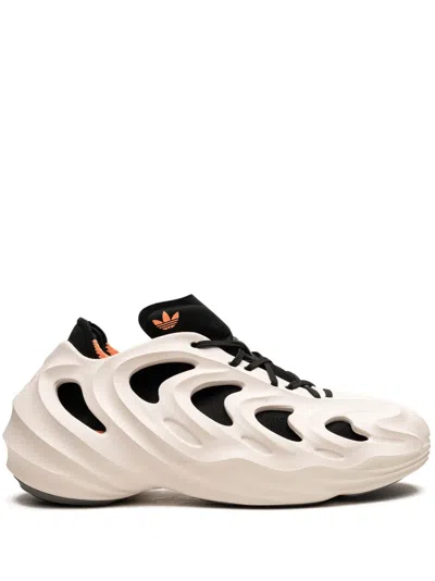 Adidas Originals Adiform Q Low-top Sneakers In White