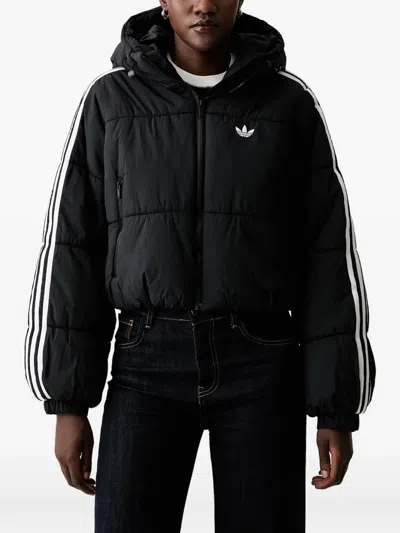 Adidas Originals Adilenium Padded Jacket In Black