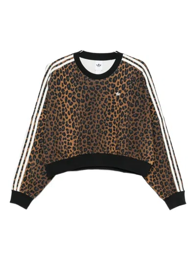 Adidas Originals Adidas Sweaters Multi Colour In Brown