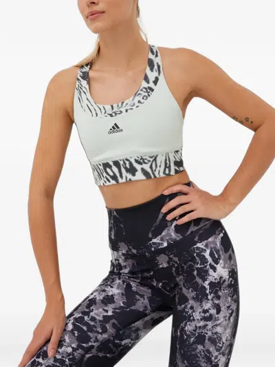 Adidas Originals Animal-print Sports Bra In Green