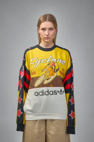 Adidas Originals Archive Cycling Sweatshirt In Multi