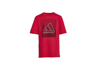 Adidas Originals Bball Court T-shirts (big Kid) Boy's T Shirt Pure Ruby : Md (10-12 Big Kids), Cotton In Red