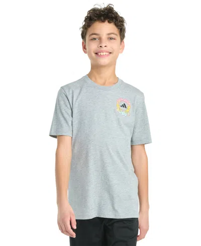 Adidas Originals Kids' Big Boy Short Sleeve Daydream Shoebox Graphic T-shirt In Gray