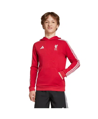 Adidas Originals Kids' Big Boys And Girls Red Liverpool Dna Hoodie