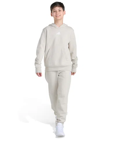 Adidas Originals Kids' Big Boys Essential Small Logo 2-piece Fleece Hoodie And Joggers Set In Neutral