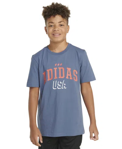 Adidas Originals Kids' Big Boys Short-sleeve Cotton Usa Graphic T-shirt In Preloved Ink