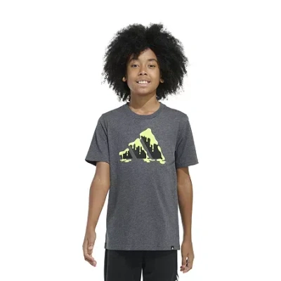 Adidas Originals Big Kid Boys Crew Neck Short Sleeve Regular Fit Graphic T-shirt In Gray
