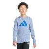 Adidas Originals Big Kid Boys Hooded Long Sleeve Regular Fit Graphic T-shirt In Blue