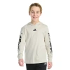 Adidas Originals Big Kid Boys Hooded Long Sleeve Regular Fit Graphic T-shirt In Multi