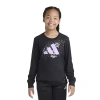 Adidas Originals Big Kid Girls Crew Neck Long Sleeve Regular Fit Graphic T-shirt In Multi