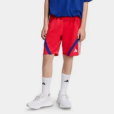 Adidas Originals Big Kids Sportswear House Of Tiro Shorts In Red
