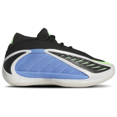 Adidas Originals Kids' Boys Adidas Adidas Anthony Edwards 2 In Blue