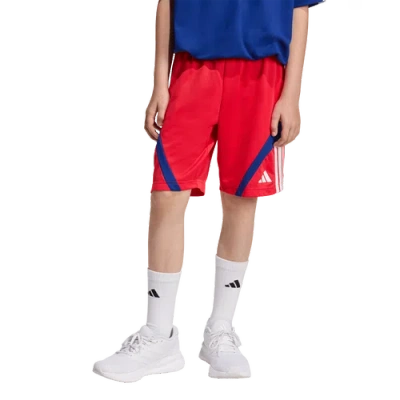 Adidas Originals Kids' Boys Adidas Adidas House Of Tiro Shorts In Multi