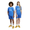 Adidas Originals Boys Adidas Athletic Shorts In Blue/white