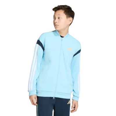 Adidas Originals Kids' Boys Adidas House Of Tiro Track Top In Blue