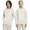Adidas Originals Boys Adidas Adidas X Messi Hoodie In Clear Brown