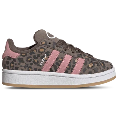 Adidas Originals Kids' Boys Preschool Adidas  Campus 00s In Brown