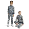 Adidas Originals Boys Preschool Adidas  X Liberty London Firebird Tracksuit In Gray