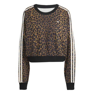 Adidas Originals Crew Sweatshirt In Brown