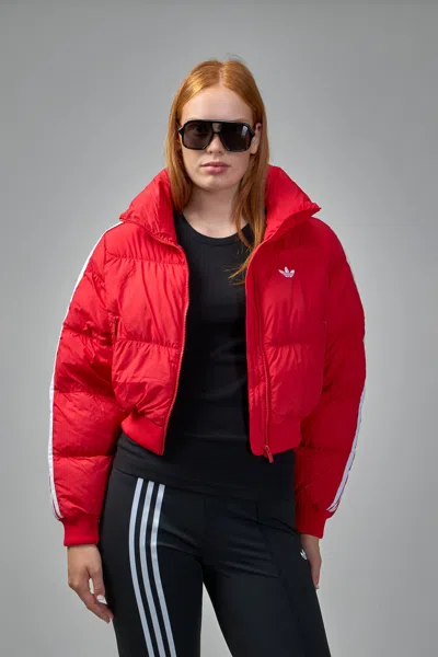 Adidas Originals Cropped Puff Jacket In Red
