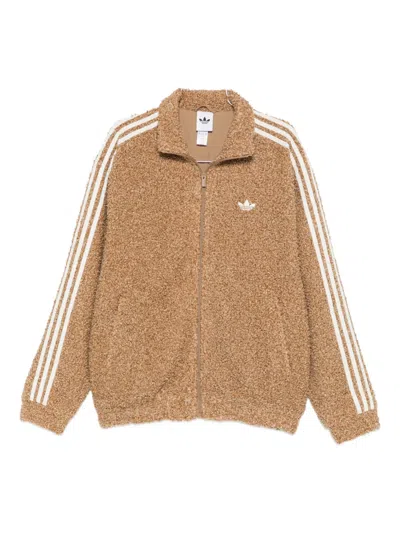 Adidas Originals Adidas Sweaters In Brown