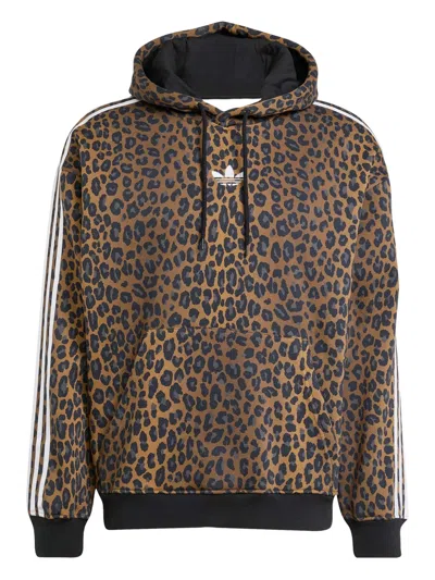 Adidas Originals Firebird Leopard-print Hoodie In Brown