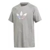 Adidas Originals (gs) Adidas Adicolor Graphic Tee 'grey' In Gray