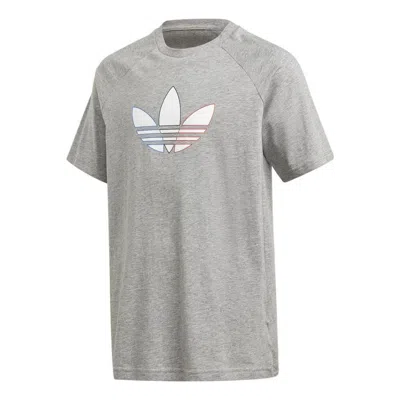 Adidas Originals (gs) Adidas Adicolor Graphic Tee 'grey' In Gray