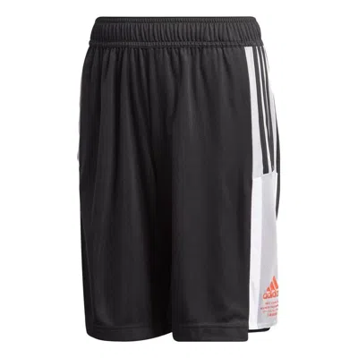 Adidas Originals (gs) Adidas Bold Aeroready Shorts 'black Glory Grey'