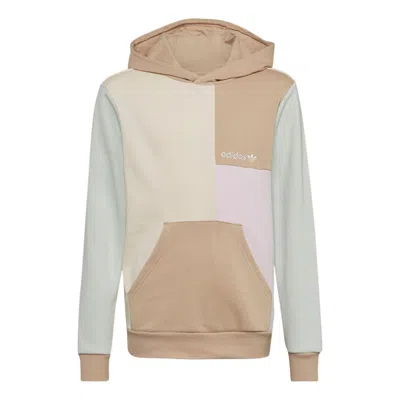 Adidas Originals (gs) Adidas Colorblock Hoodie 'beige' In Multi