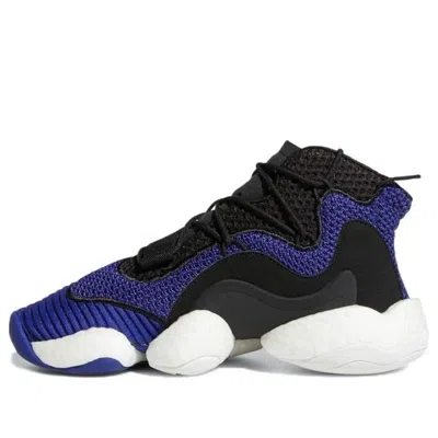 Adidas Originals (gs) Adidas Crazy Byw J 'real Purple'