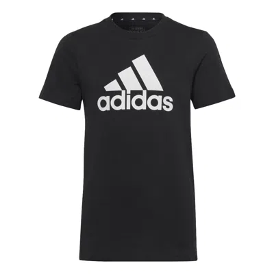 Adidas Originals (gs) Adidas Essentials Big Logo Cotton Slim T-shirt 'black White'