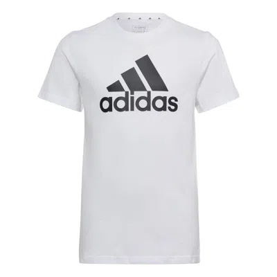 Adidas Originals (gs) Adidas Essentials Big Logo Cotton Slim T-shirt 'white Black'