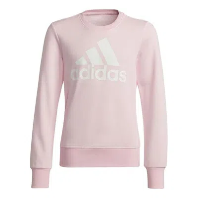 Adidas Originals (gs) Adidas Essentials Sweatshirt 'pink White' In Multi