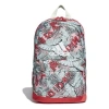Adidas Originals (gs) Adidas Lg Bp G
