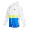 Adidas Originals (gs) Adidas Logo Windbreaker Jacket 'white Blue Green' In Multi