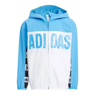 Adidas Originals (gs)  Logo Jackets 'blue'