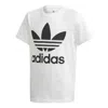 Adidas Originals Adicolor Trefoil Boxy Graphic T-shirt In White
