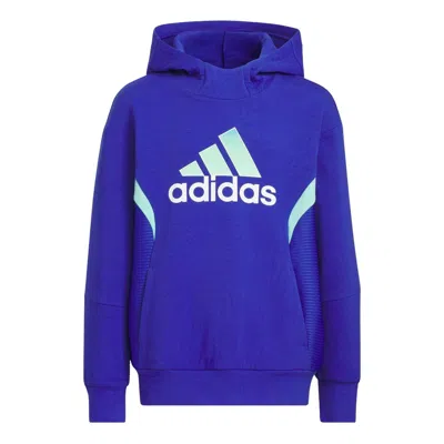 Adidas Originals (gs) Adidas Sport Hoodies 'blue'