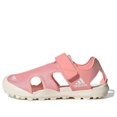 Adidas Originals (gs) Adidas Terrex Captain Toey 'pink'