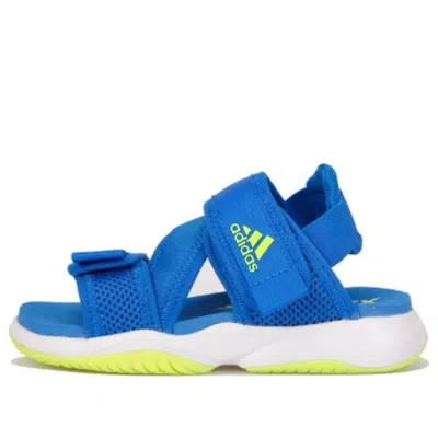 Adidas Originals (gs) Adidas Terrex Sumra Sandals 'blue'