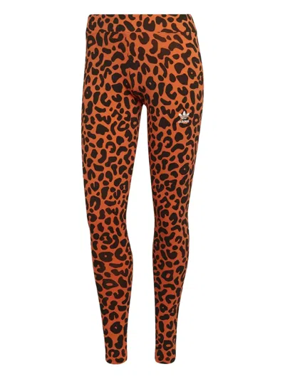 Adidas Originals Leopard-print Panelled Tights In Orange