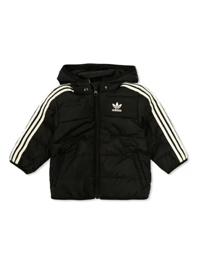 Adidas Originals Babies' Logo Padded Jacket In Black