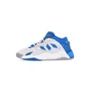 Adidas Originals Low Shoe Men's Streetball Ii Cloud White/blue Bird/ecru Tint In Cloud White/blue Bird/ecru Tint