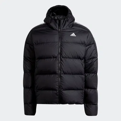 Adidas Originals Men's Adidas Essentials Midweight Down Hooded Jacket In Black