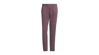 Pre-owned Adidas Originals Men's Adidas Goto Warm Dwr Golf Pant In Shadow Fig In Purple