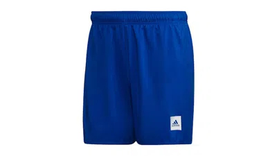 Pre-owned Adidas Originals Men's Adidas Short Length Solid Swim Shorts In Royal Blue