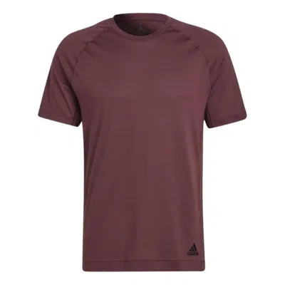 Adidas Originals Men's Adidas Solid Color Small Alphabet Logo Printing Round Neck Short Sleeve Wine Red T-shirt